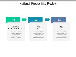 National productivity review ppt powerpoint presentation icon introduction cpb