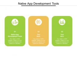 Native app development tools ppt powerpoint presentation professional skills cpb