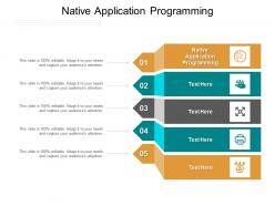 Native application programming ppt powerpoint presentation professional master slide cpb