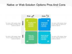 Native or web solution options pros and cons