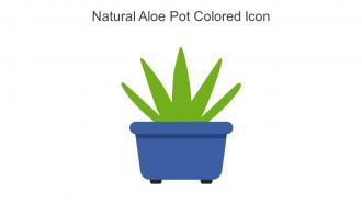Natural Aloe Pot Colored Icon In Powerpoint Pptx Png And Editable Eps Format