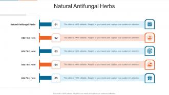 Natural Antifungal Herbs In Powerpoint And Google Slides Cpb