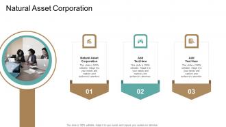 Natural Asset Corporation In Powerpoint And Google Slides Cpb