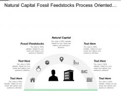 Natural capital fossil feed stocks process oriented operational model