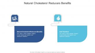 Natural Cholesterol Reducers Benefits In Powerpoint And Google Slides Cpb