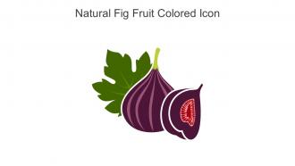 Natural Fig Fruit Colored Icon In Powerpoint Pptx Png And Editable Eps Format