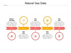 Natural gas data ppt powerpoint presentation summary clipart cpb