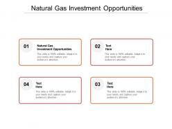 Natural gas investment opportunities ppt powerpoint presentation layouts design inspiration cpb