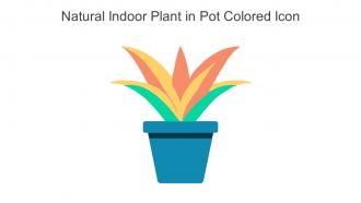 Natural Indoor Plant In Pot Colored Icon In Powerpoint Pptx Png And Editable Eps Format