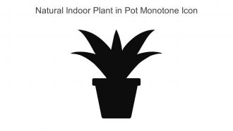 Natural Indoor Plant In Pot Monotone Icon In Powerpoint Pptx Png And Editable Eps Format