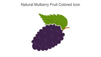 Natural Mulberry Fruit Colored Icon In Powerpoint Pptx Png And Editable Eps Format