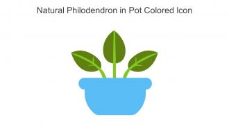 Natural Philodendron In Pot Colored Icon In Powerpoint Pptx Png And Editable Eps Format