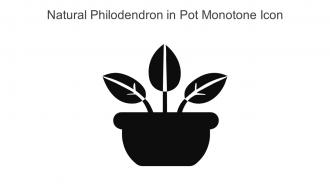 Natural Philodendron In Pot Monotone Icon In Powerpoint Pptx Png And Editable Eps Format