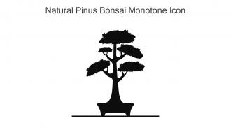 Natural Pinus Bonsai Monotone Icon In Powerpoint Pptx Png And Editable Eps Format