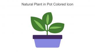 Natural Plant In Pot Colored Icon In Powerpoint Pptx Png And Editable Eps Format