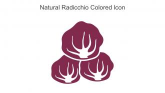 Natural Radicchio Colored Icon In Powerpoint Pptx Png And Editable Eps Format