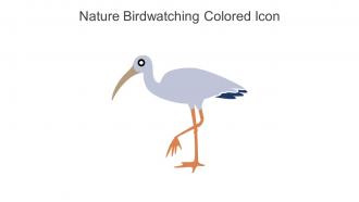 Nature Birdwatching Colored Icon In Powerpoint Pptx Png And Editable Eps Format