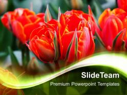Nature pictures powerpoint templates beautiful flowers image ppt design