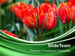 Nature pictures powerpoint templates beautiful red flowers garden growth ppt design