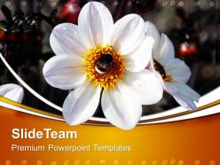 Nature watch powerpoint templates flower image ppt slides