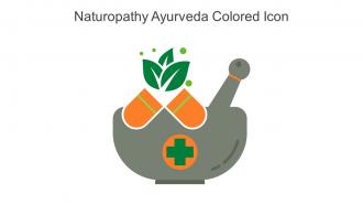 Naturopathy Ayurveda Colored Icon In Powerpoint Pptx Png And Editable Eps Format