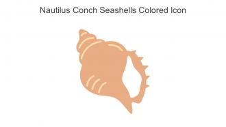 Nautilus Conch Seashells Colored Icon In Powerpoint Pptx Png And Editable Eps Format