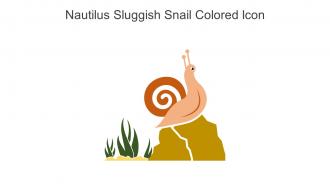 Nautilus Sluggish Snail Colored Icon In Powerpoint Pptx Png And Editable Eps Format