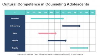 Needs Of Adolescents In Counseling PPT Information ACP Visual Pre-designed