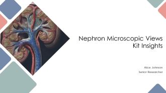 Nephron Microscopic Views Kit Insights PPT Structure AT