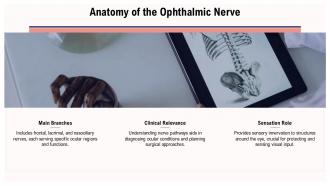 Nerve Eye Ophthalmic Nerve PPT Outline ACP Content Ready Professionally