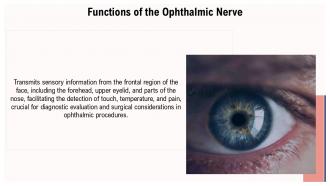 Nerve Eye Ophthalmic Nerve PPT Outline ACP Editable Professionally