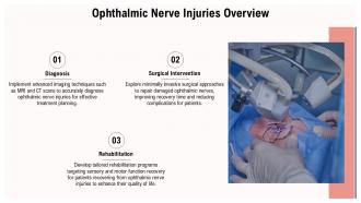 Nerve Eye Ophthalmic Nerve PPT Outline ACP Compatible Professionally