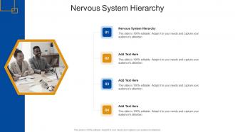 Nervous System Hierarchy In Powerpoint And Google Slides Cpb
