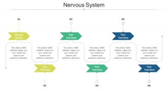 Nervous system ppt powerpoint presentation inspiration show cpb