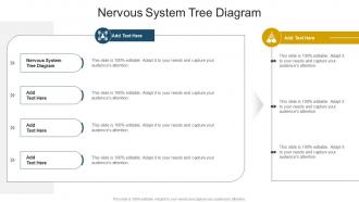 Nervous System Tree Diagram In Powerpoint And Google Slides Cpb