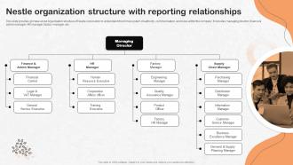Nestle Organization Structure With Reporting Nestle Strategic Management Report Strategy SS