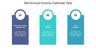 Net annual income calendar year ppt powerpoint presentation gallery icons cpb
