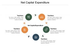 Net capital expenditure ppt powerpoint presentation model infographics cpb
