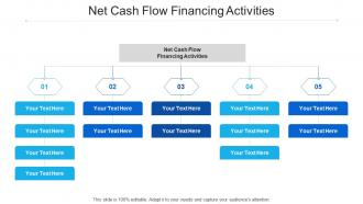 Net cash flow financing activities ppt powerpoint presentation infographics influencers cpb