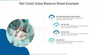 Net Credit Sales Balance Sheet Example In Powerpoint And Google Slides Cpb