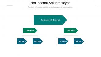 Net income self employed ppt powerpoint presentation icon graphics tutorials cpb