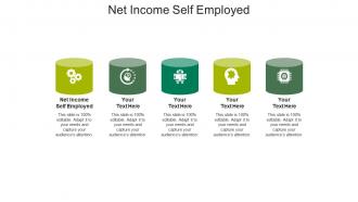Net income self employed ppt powerpoint presentation infographic template objects cpb