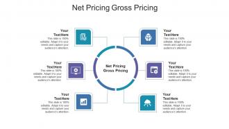 Net pricing gross pricing ppt powerpoint presentation slides portrait cpb