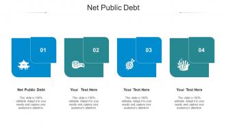 Net public debt ppt powerpoint presentation professional inspiration cpb