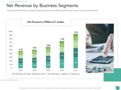 Net revenue by business segments raise funding private funding ppt pictures