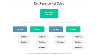 Net revenue net sales ppt powerpoint presentation gallery icons cpb