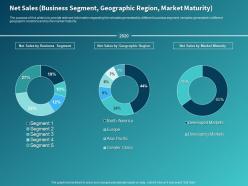 Net sales business segment geographic region market maturity ppt powerpoint presentation diagrams