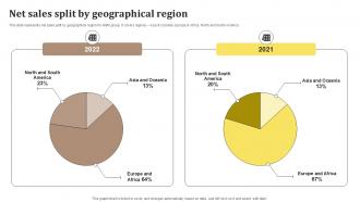Net Sales Split By Geographical Region Fast Fashion Retailer Company Profile Ppt Sample CP SS V
