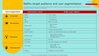 Netflix Target Audience And User Segmentation Marketing Strategy For Promoting Video Content Strategy SS V