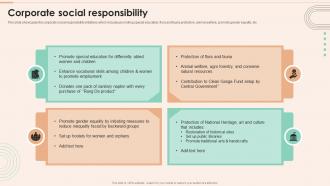 Netsurf Company Profile Corporate Social Responsibility Ppt Powerpoint Presentation Ideas Icons